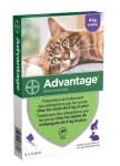 Advantage 80 Chat 4kg et + Bte de 4